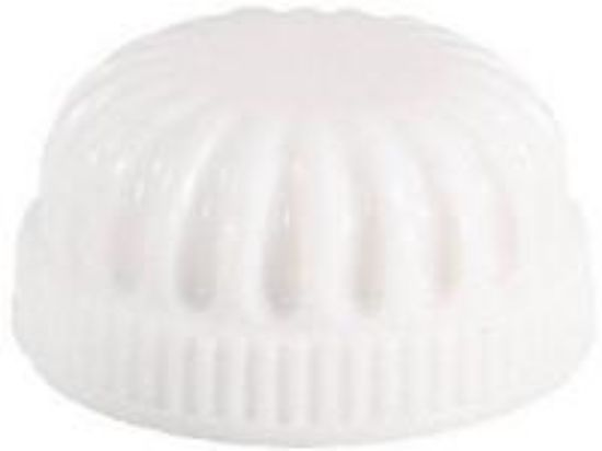 Picture of White Plastic Lockup Cap