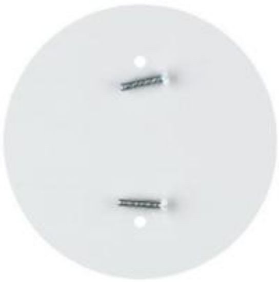Picture of Ceiling Outlet Concealer Plate With-Screws White 4-3/4"