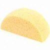 Picture of Clamshell-Sponge