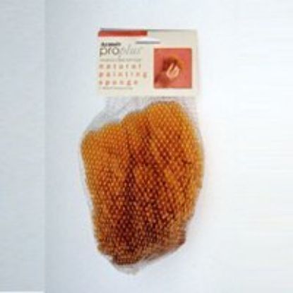 Picture of Coarse Painting-Sponge
