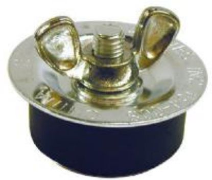 Picture of Test-Plug 1-1/2"