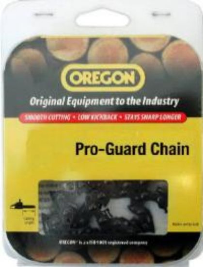 Picture of 20" Pro-Guard Chain-Saw-Chain