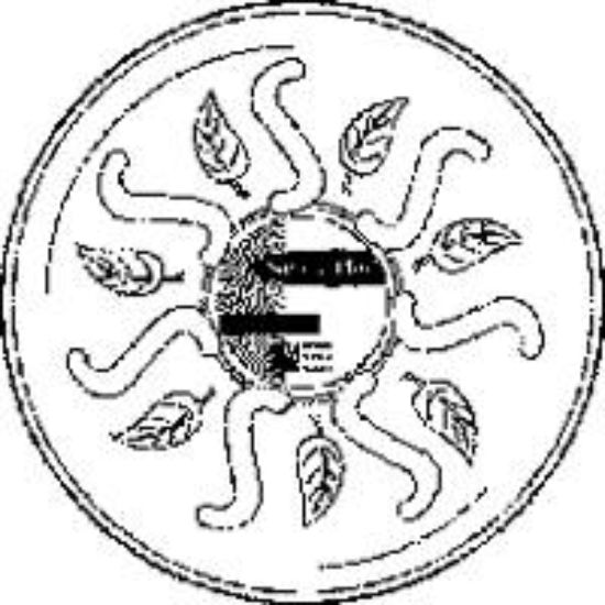 Picture of Plant-Saucer 17" Clear Plant