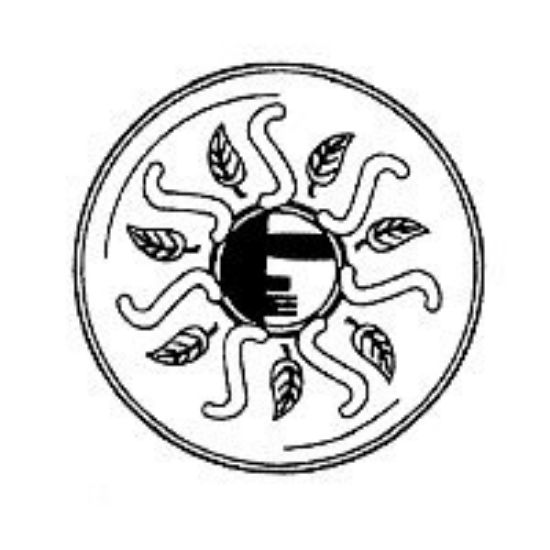 Picture of Plant-Saucer 12" Plus