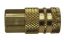 Picture of 1/4" FPT Coupler 1/4" Body Size In