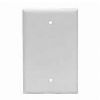 Picture of Wall-Plate Blank