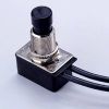 Picture of Push-Button Switch SPST