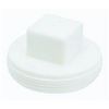 Picture of 3" MPT Styrene Plug