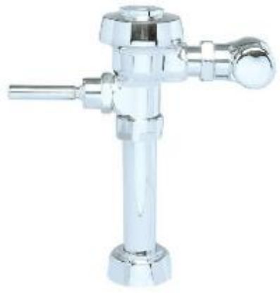 Picture of Royal 110 3.5 Flushometer