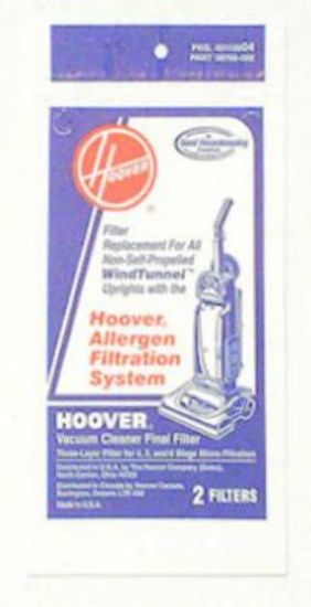 Picture of hoover Final Filter