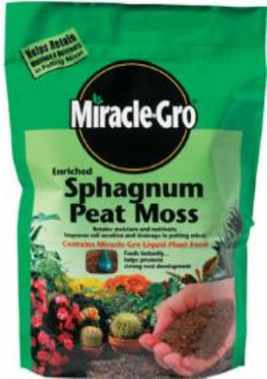 Picture of Sphagnum Peat-moss