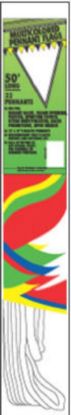 Picture of Pennant String 12" x 18" Pennants