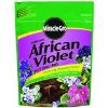 Picture of Potting-soil African-violet