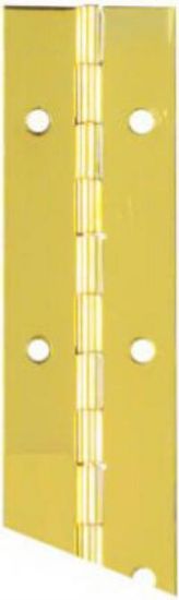 Picture of Continuous-Hinge Bright Brass 1-1/2" x 30"