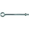 Picture of Eye-Bolt With-Nut Zinc-Plated 1/4" x 6"