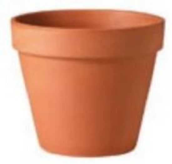 Picture of Plant-Pot 8" Standard Terra-Cotta