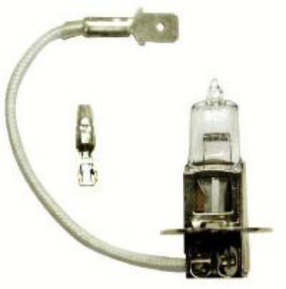 Picture of Night Watcher H3