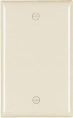 Picture of Blank Nylon Midsize Wall-Plate