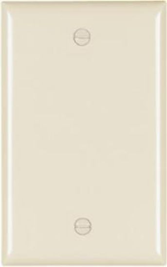 Picture of Blank Nylon Midsize Wall-Plate