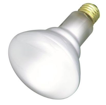 Picture of Light-Bulb Br-30 Reflector
