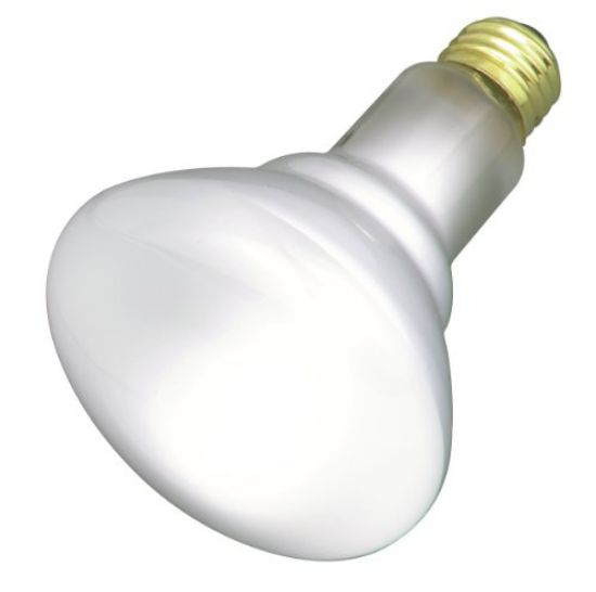 Picture of Light-Bulb Br-30 Reflector
