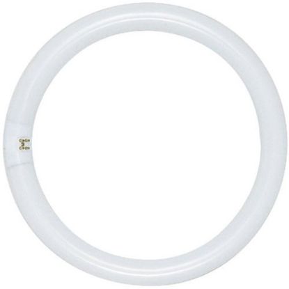 Picture of Light-Bulb FC16T9/CW 16"-40W