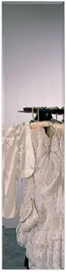 Picture of Door Mirror Rectangular 14" x 54"