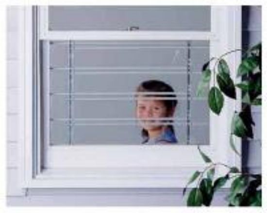 Picture of 3bar 9" window-guard