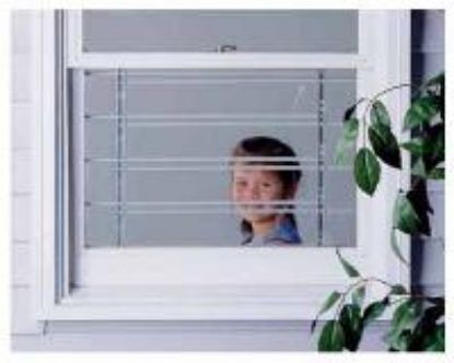 Picture of Child Safety Window Guards 3 Bar Fixed NYC Approved