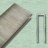 Picture of Finish Staples Galvanized Steel & Coated 3/4"