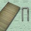 Picture of Hardwood-Flooring Staple 15-1/2 Ga 1/2" x 2"