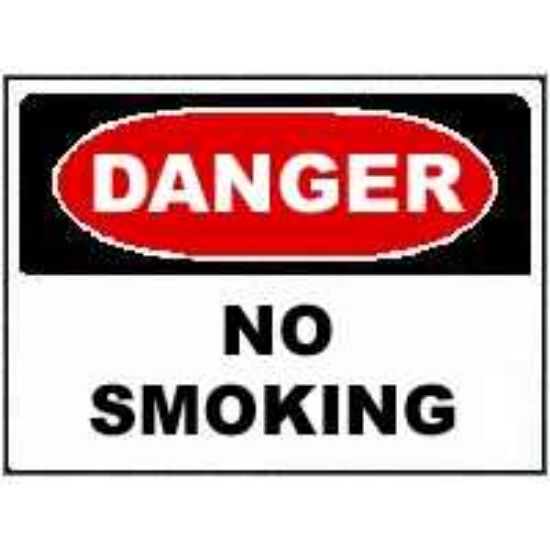 Picture of 10 x 14 No Smoking Sign OSHA