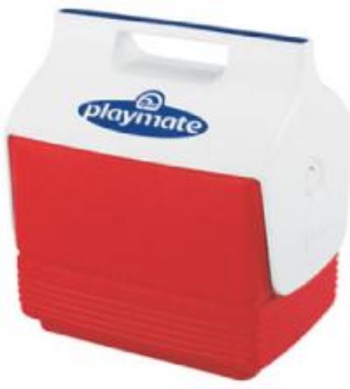 Picture of Insulated-cooler Personal Size