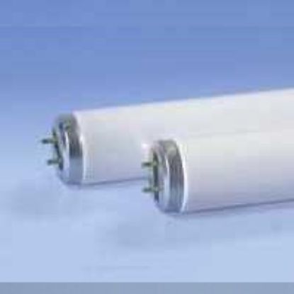 Picture of F40/dx Daylight Deluxe T-12