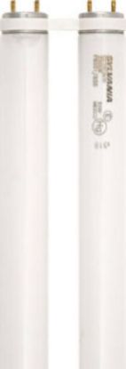 Picture of FBO31835 U Fluorescent T-8 31W 3500-K 1-5/8" Leg 22.5" Length