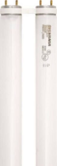 Picture of FBO31835 U Fluorescent T-8 31W 3500-K 1-5/8" Leg 22.5" Length