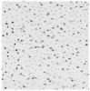 Picture of Ceiling-Tile Radar 2' x 2' x 5/8"