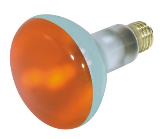 Picture of Light-Bulb BR-30 Reflector Amber