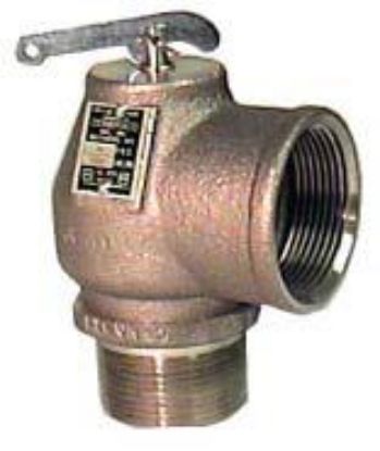 Picture of 2-1/2" Hi-cap S O Pop Safety 15 Psi 4876 Btu