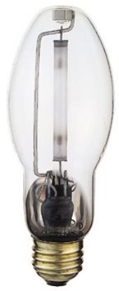 Picture of Light-Bulb
