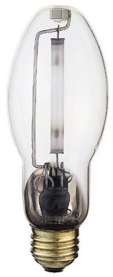 Picture of Light-Bulb