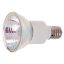 Picture of Light-Bulb 100JDR/N/EXN Base Flood