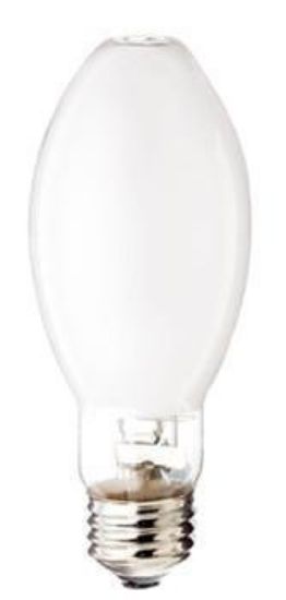 Picture of Light-Bulb Ed17-shape