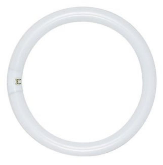 Picture of Light-bulb Circline Fc8t9/cw 8" Cool-white