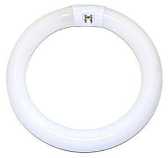 Picture of Light-Bulb Circline Fc8t9/d 8" Daylight