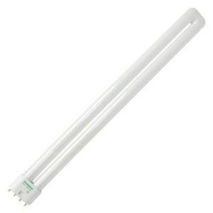 Picture of Light-Bulb 36-W 16.6" 3000-K