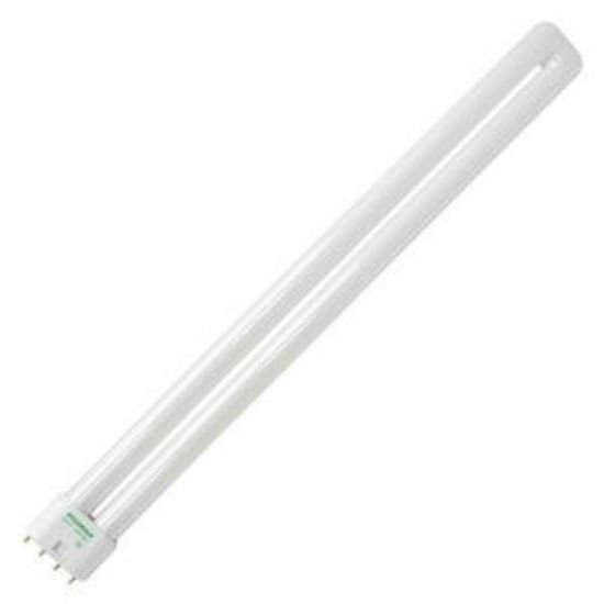 Picture of Light-Bulb 36-W 16.6" 3000-K
