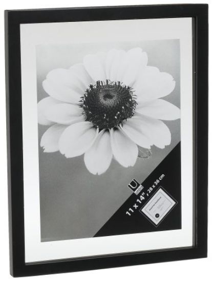 Picture of Document Picture-Frame Black 11" x 14"