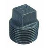 Picture of Cored-plug Square-head Black-malleable Npt 1.500"