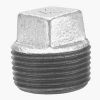 Picture of Galvanized Steel Cored-Plug Square-Head 1"